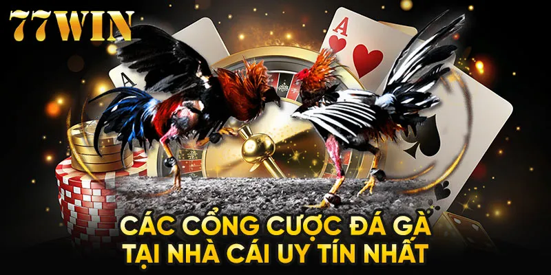 Các cổng cược đá gà tại nhà cái uy tín nhất