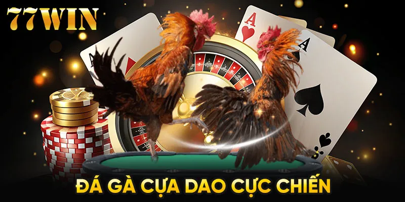 Đá gà cựa dao cực chiến