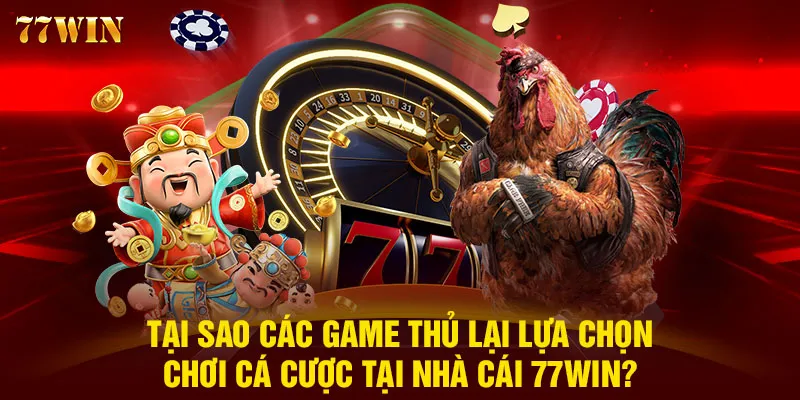 Tại sao các game thủ lại lựa chọn chơi cá cược tại nhà cái 77WIN?