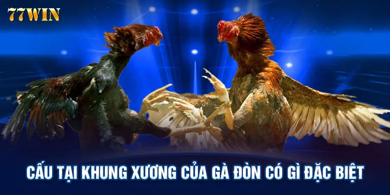 Cấu tại khung xương của gà đòn có gì đặc biệt