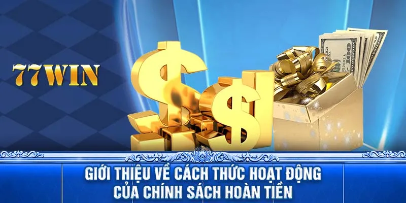 Giới thiệu về cách thức hoạt động của chính sách hoàn tiền