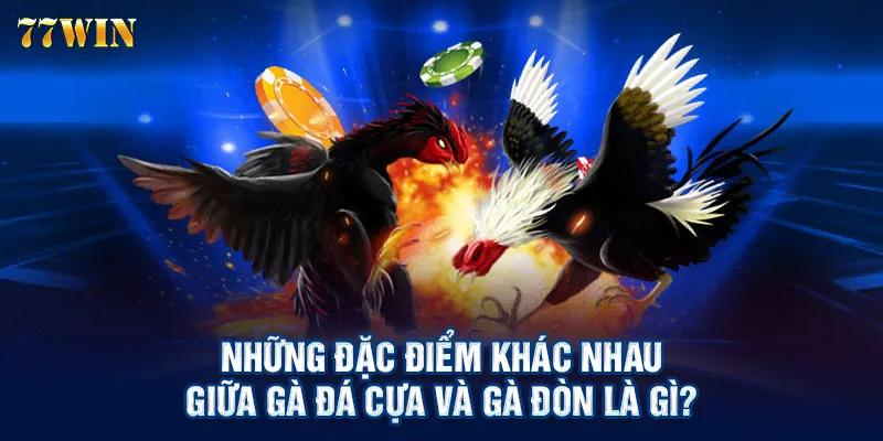 Những đặc điểm khác nhau giữa gà đá cựa và gà đòn là gì?