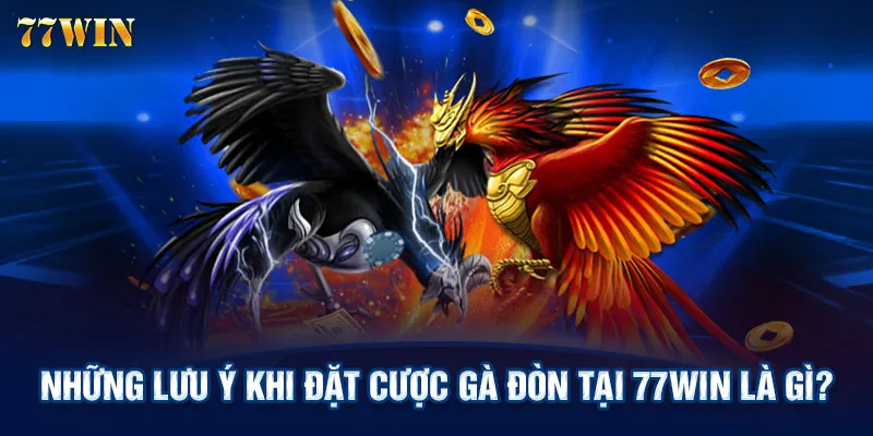 Những lưu ý khi đặt cược gà đòn tại 77WIN là gì?